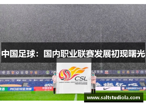 中国足球：国内职业联赛发展初现曙光